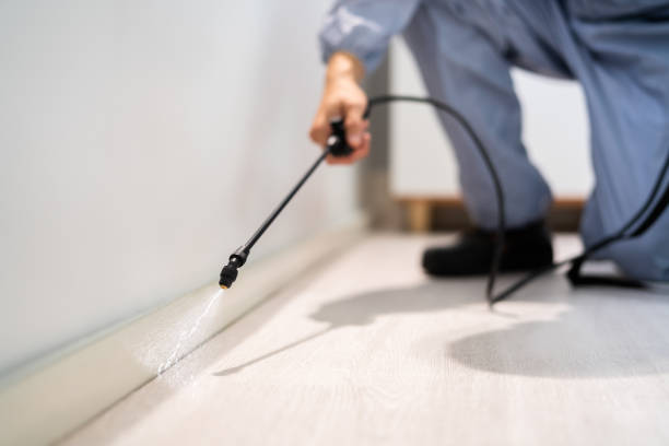 Licensed Pest Control service in Petal, MS - Show Me Pest Control